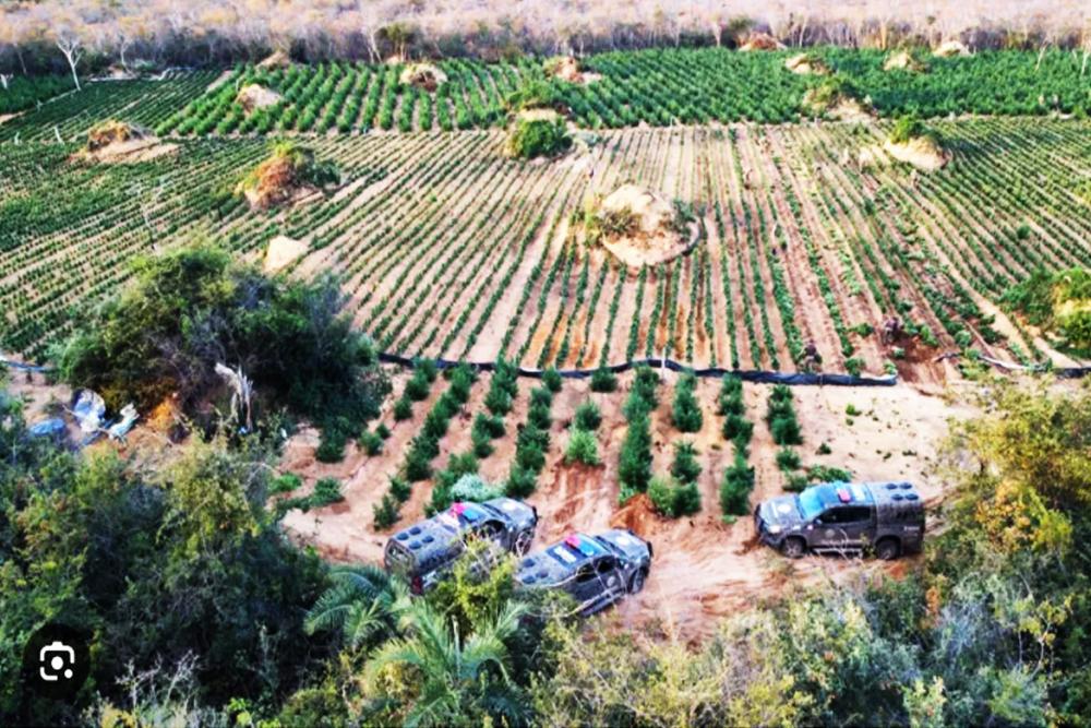 Fotos: Divulgação SSP-BA