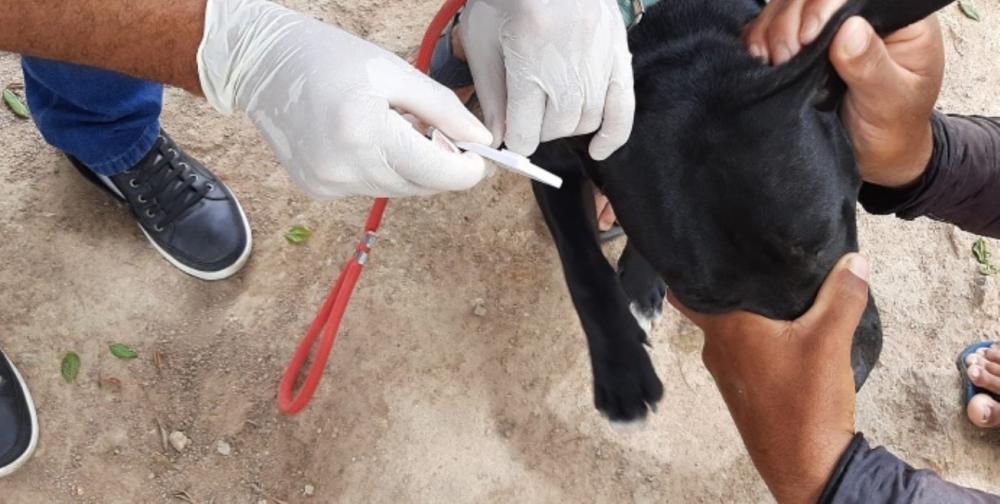 Foto Divulgação Ascom SMS