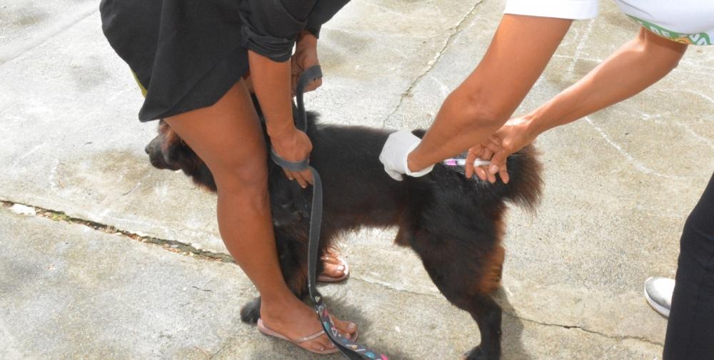 Foto: Divulgação Ascom SMS 