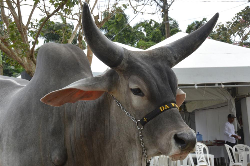 Foto: Jorge Magalhães 