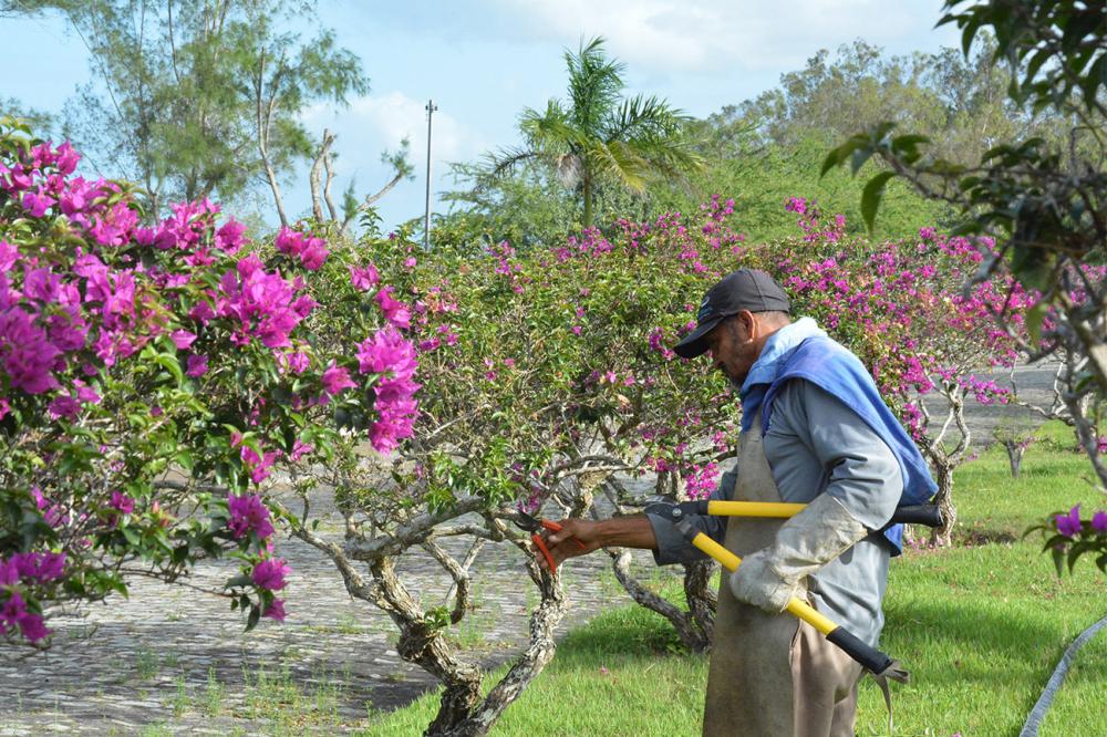 Foto: Izinaldo Barreto