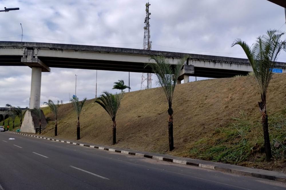 Foto: Divulgação SESP