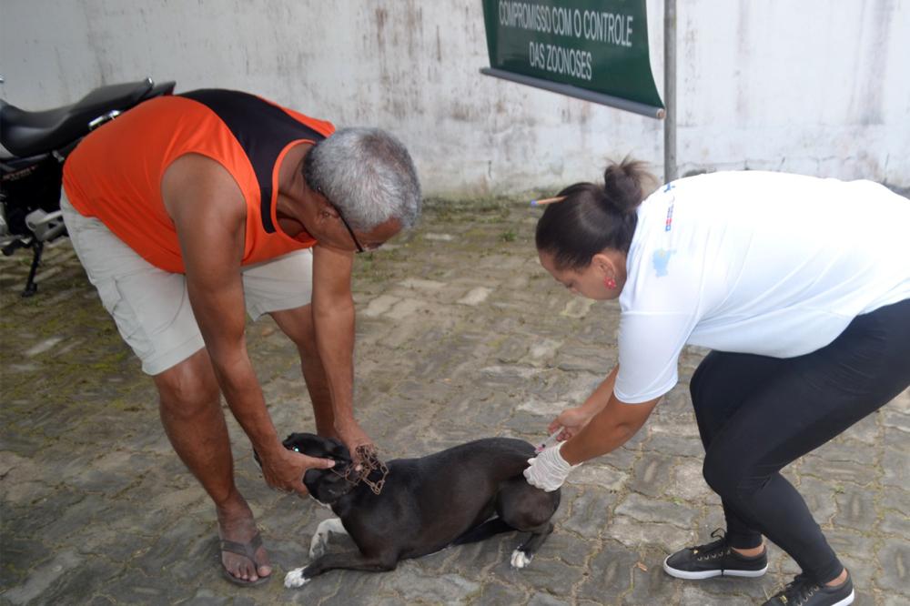Foto: Thiago Paixão