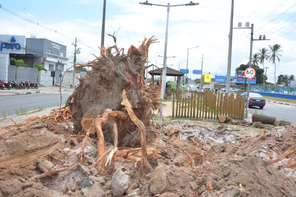   Foto: Jorge Magalhães