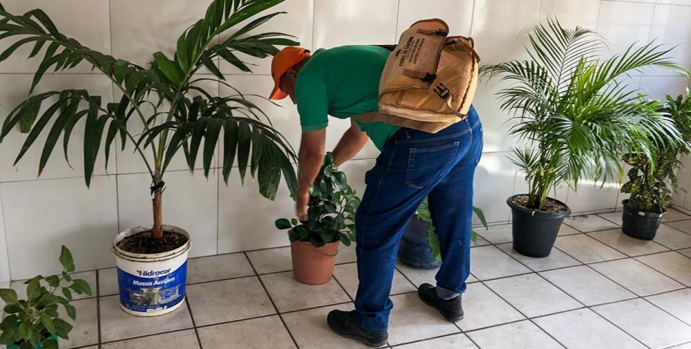 Foto: Divulgação SMS 