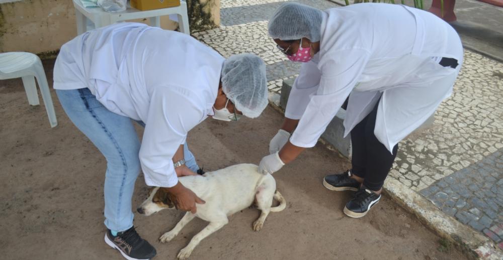 Foto: Divulgação Ascom SMS 