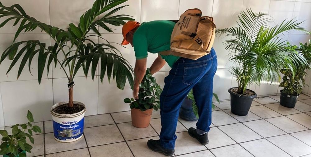 Foto: Divulgação Ascom SMS 