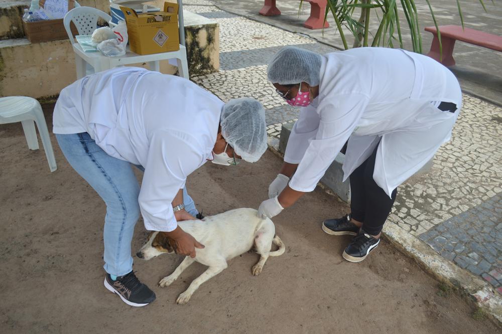 Foto: Thiago Paixão