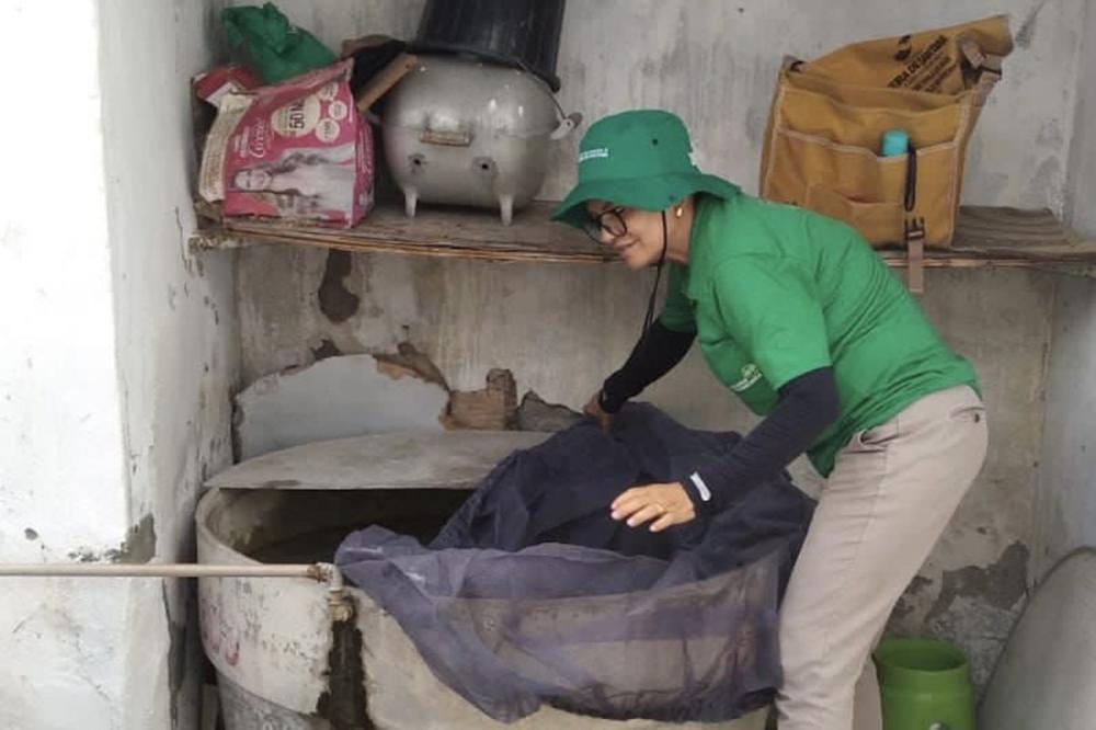 Foto: Thiago Paixão