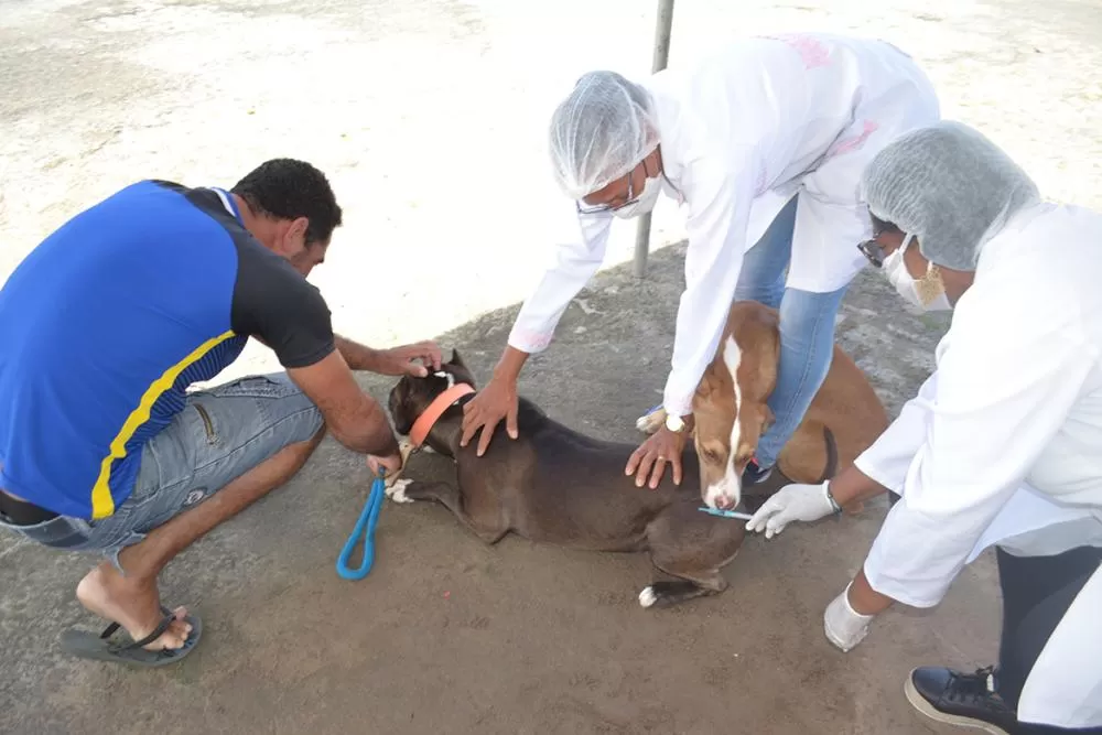 Fotos: Thiago Paixão