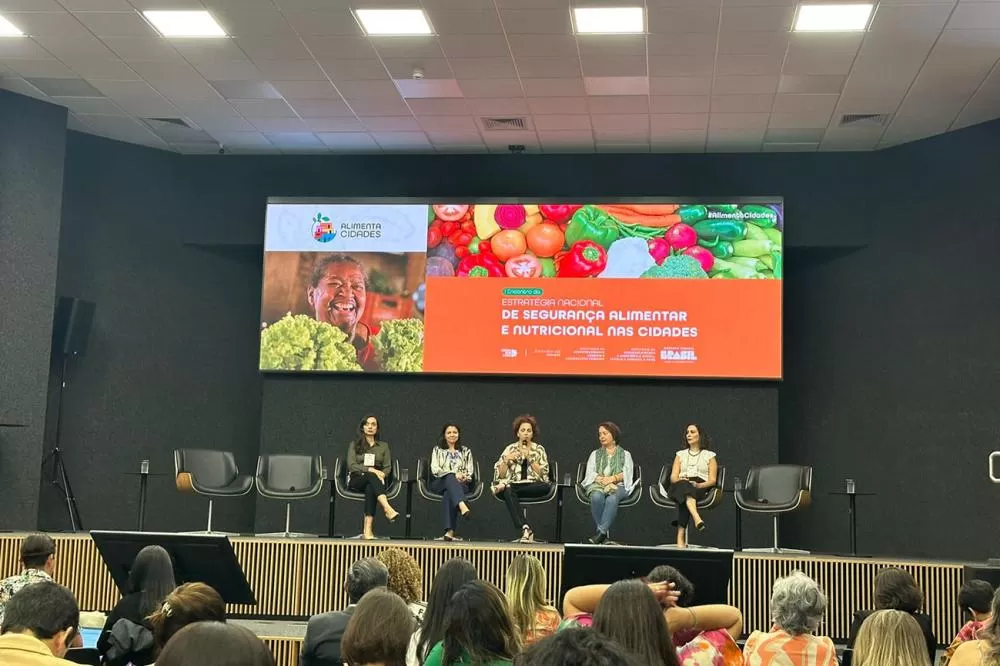 Fotos: Divulgação SEDESO