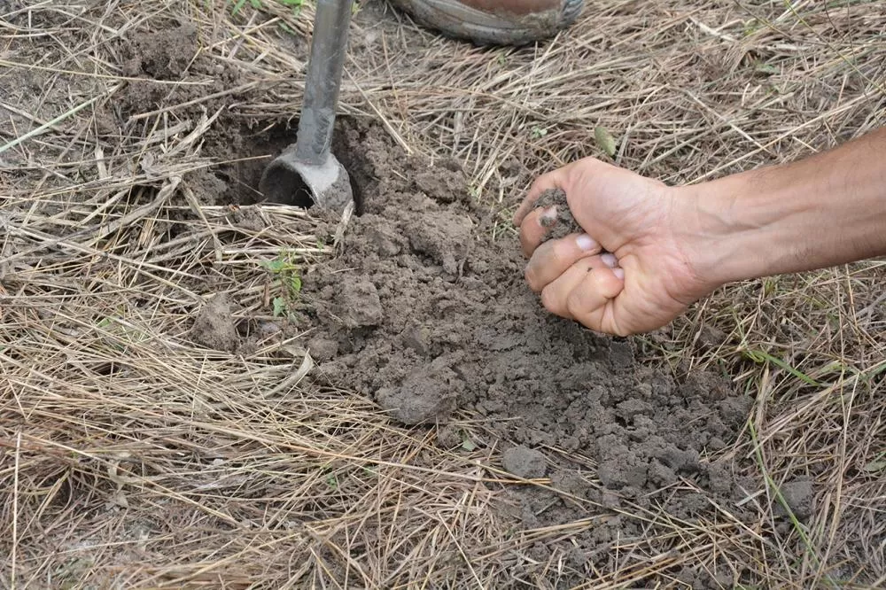 Foto: Jorge Magalhães