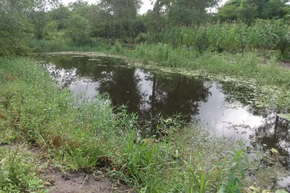 Foto: Jorge Magalhães 