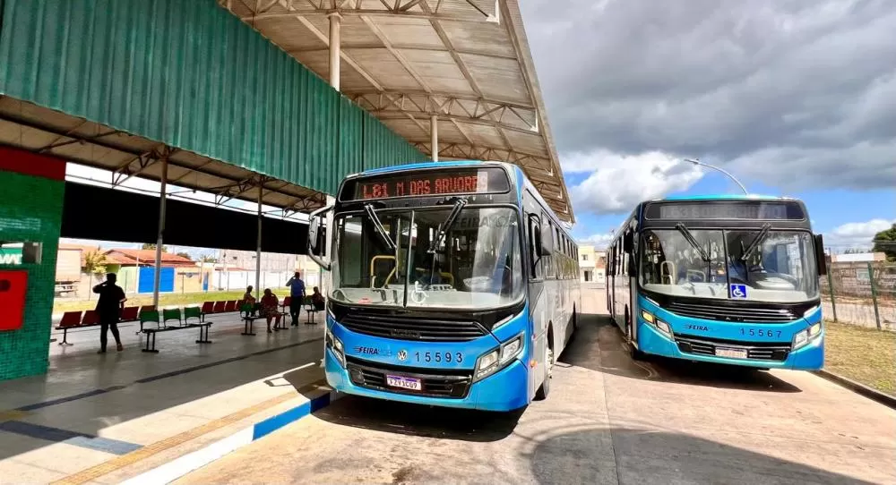Foto: Andrews Pedra Branca