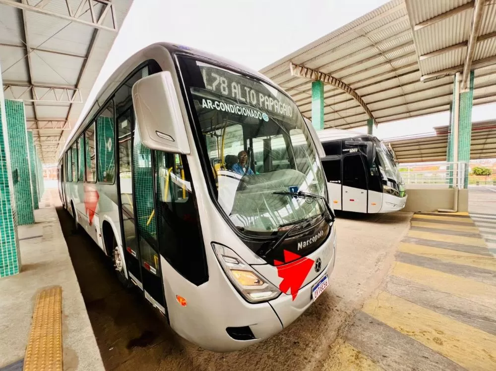 Fotos: Andrews Pedra Branca