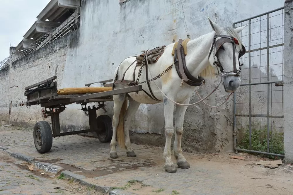Foto: Jorge Magalhães 
