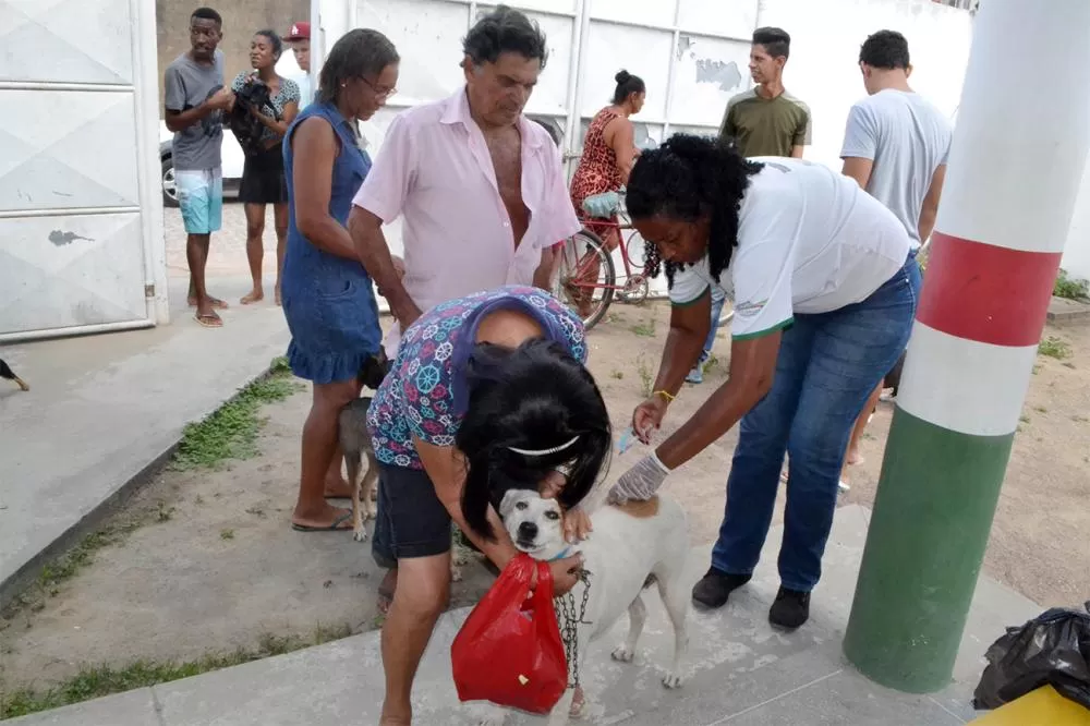 Foto: Divulgação - SMS