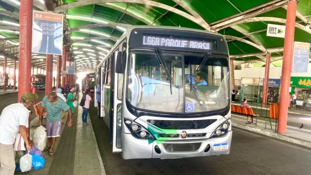 Foto: Andrews Pedra Branca