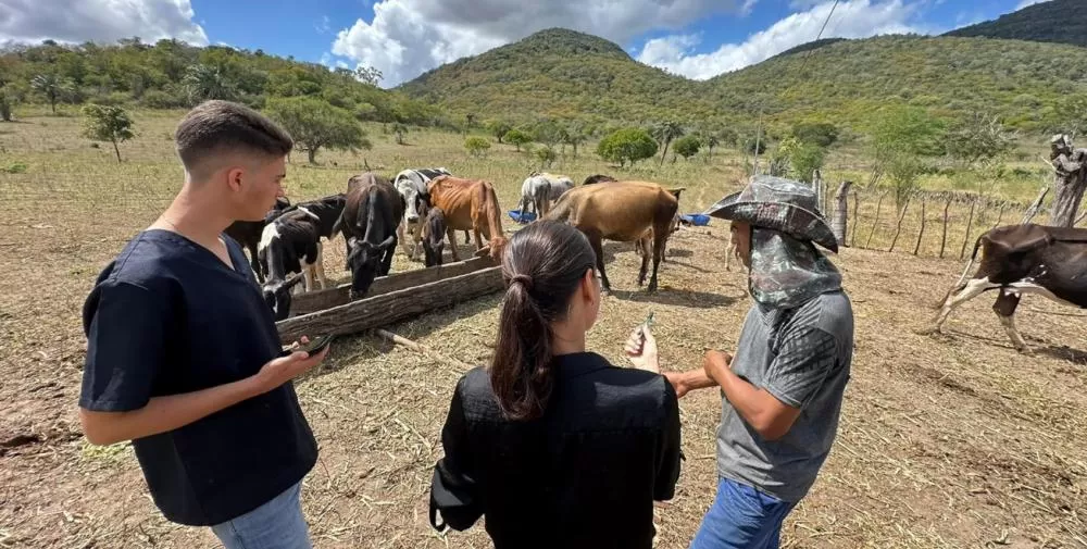 Foto: Danielly Cerqueira