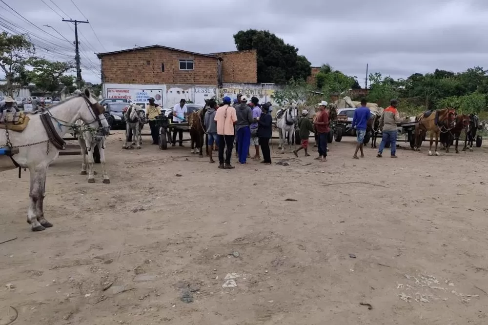 Foto: Divulgação SETTDEC