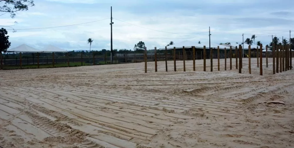 Foto: Izinaldo Barreto