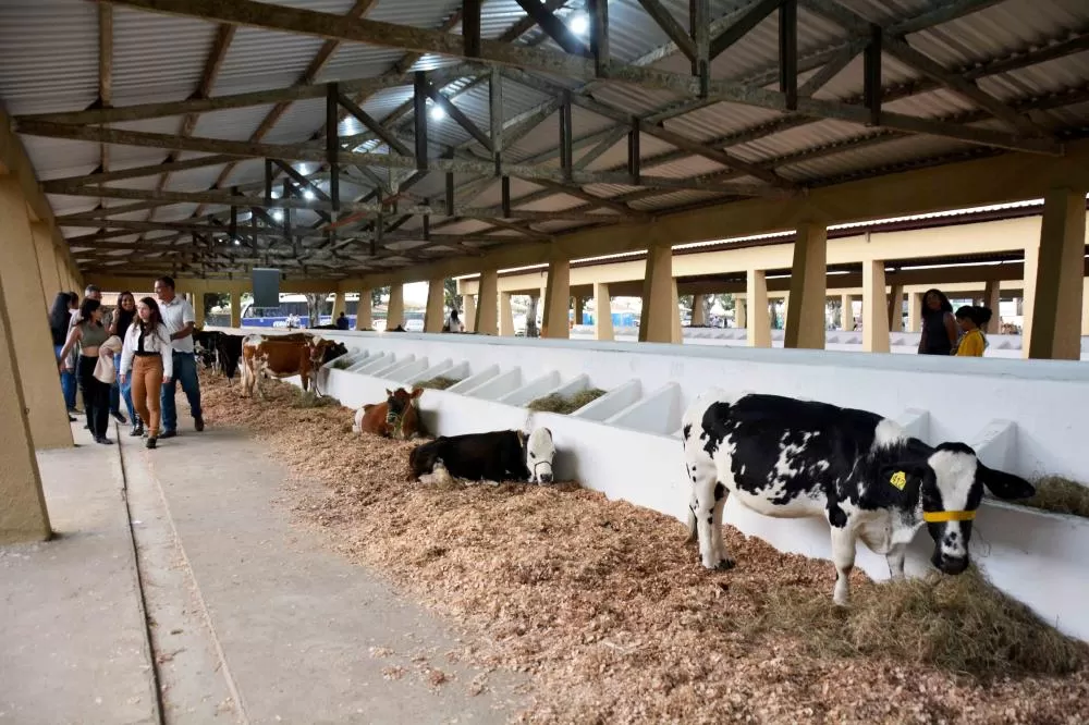 Foto: Izinaldo Barreto 