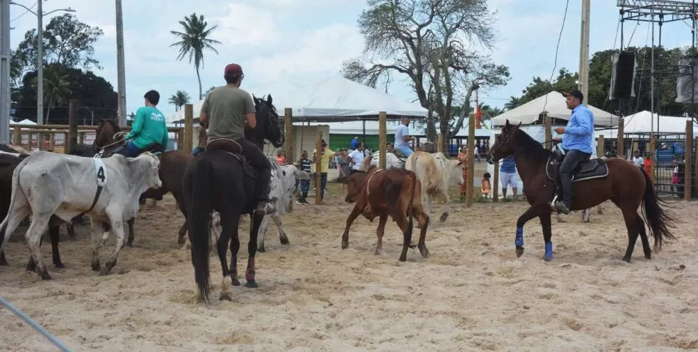 Foto : Jorge Magalhães