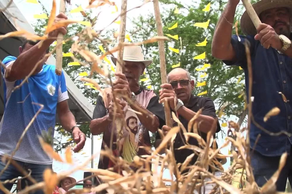 Foto: Junior Araújo