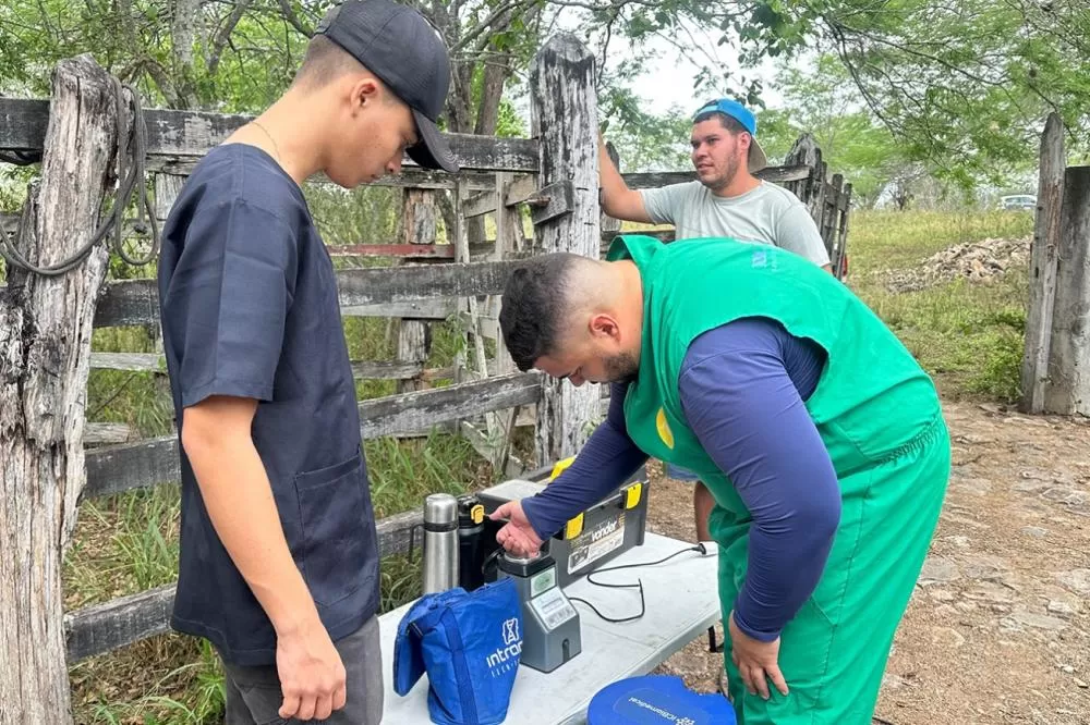 Foto: Danielly Cerqueira