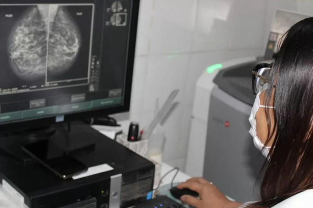 Foto: Divulgação - SMS