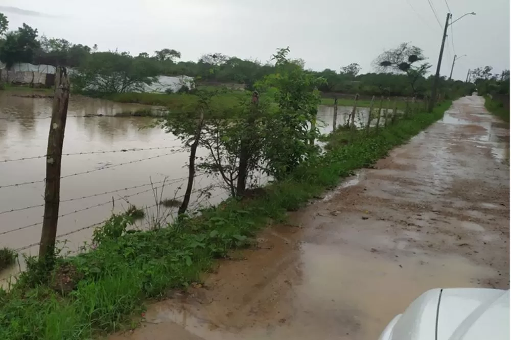 Foto: Jorge Magalhães 