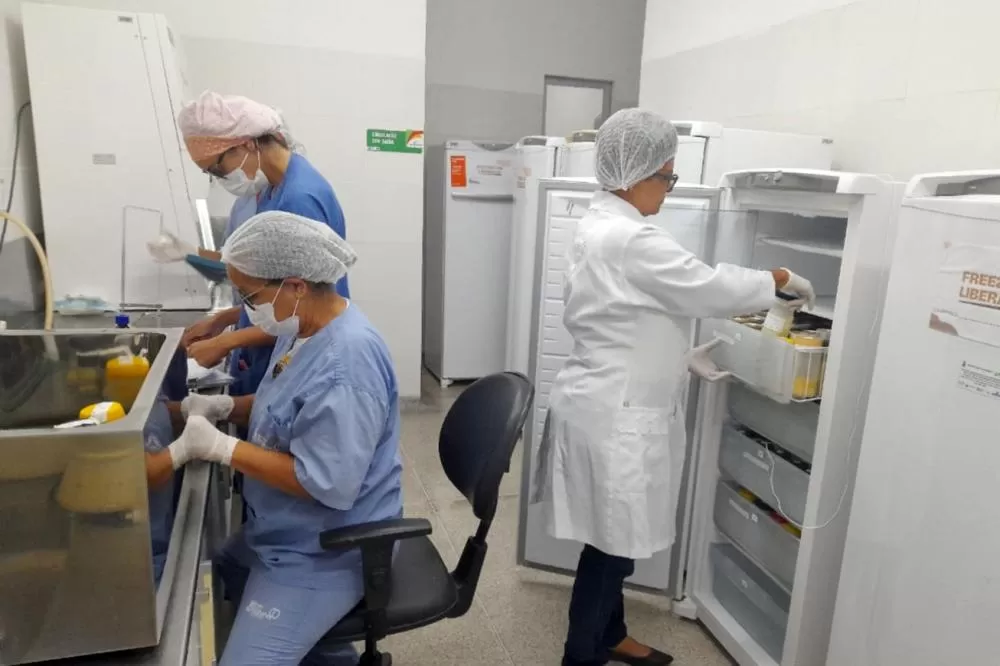 Foto: Fátima Brandão