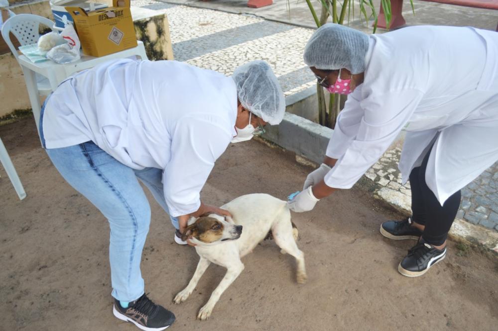 Foto: Thiago Paixão