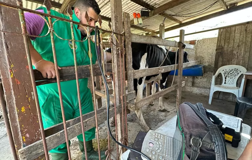 Foto: Danielly Cerqueira