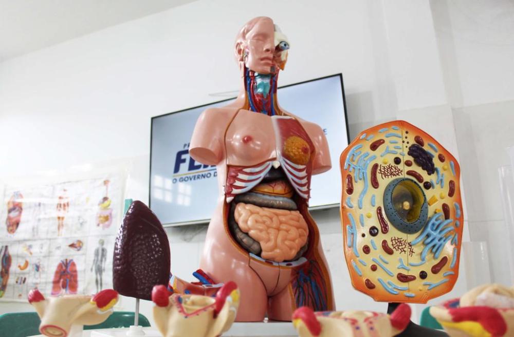 Foto: Andrews Pedra Branca