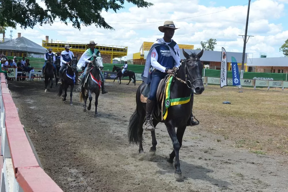 Foto : Jorge Magalhães