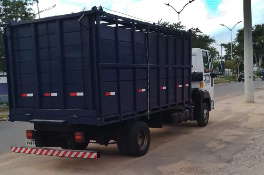 Foto: Divulgação - SMS