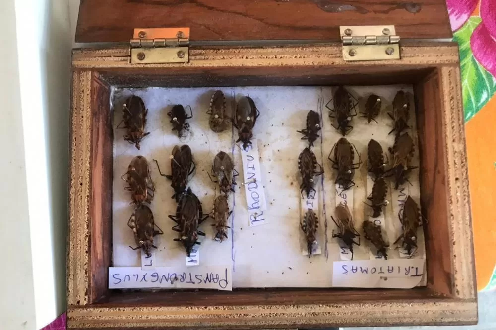 Foto: Thiago Paixão 