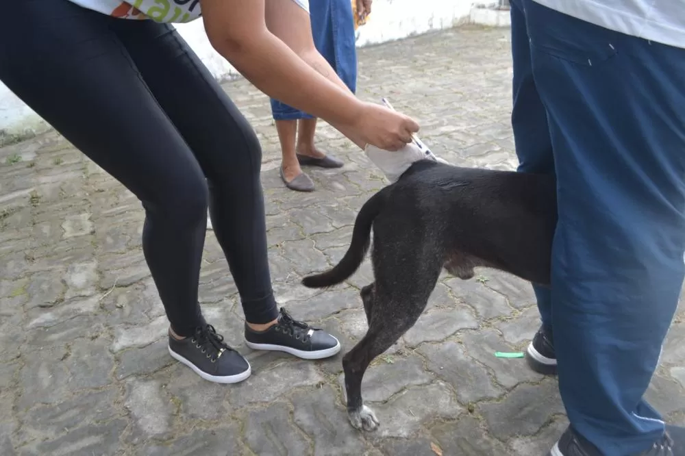 Foto: Thiago Paixão