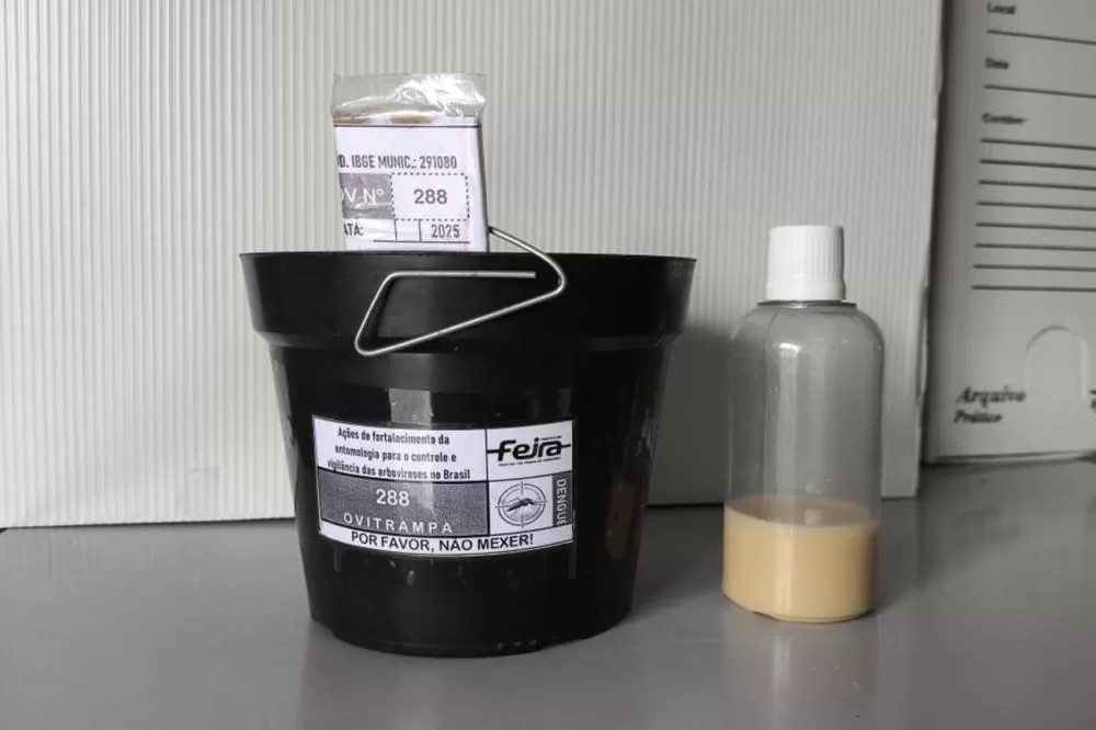 Foto: Divulgação SMS