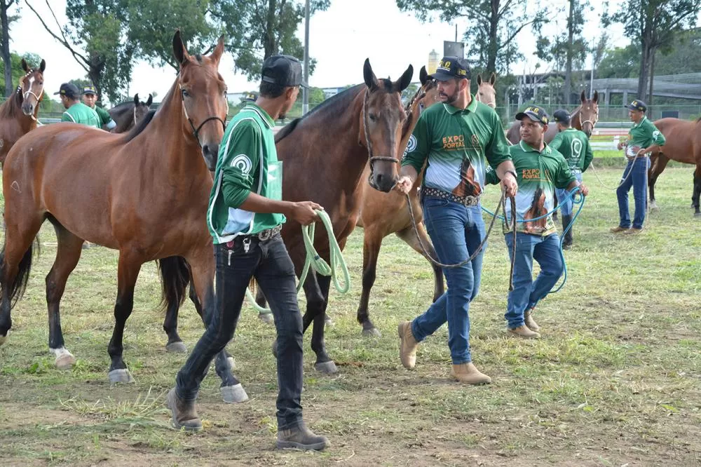 Foto: Washington Nery