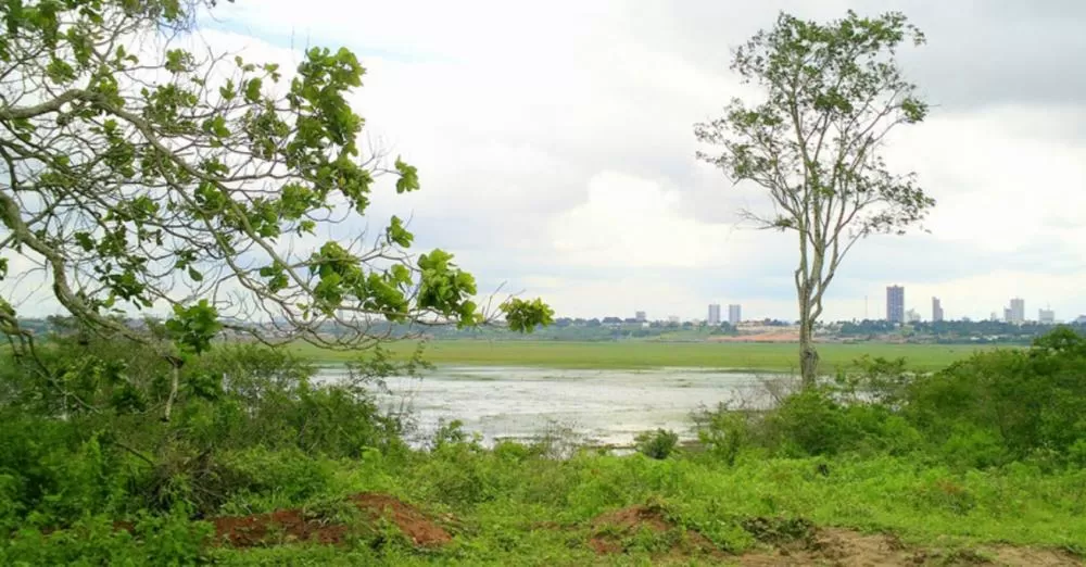 Foto: Divulgação SEMMAM