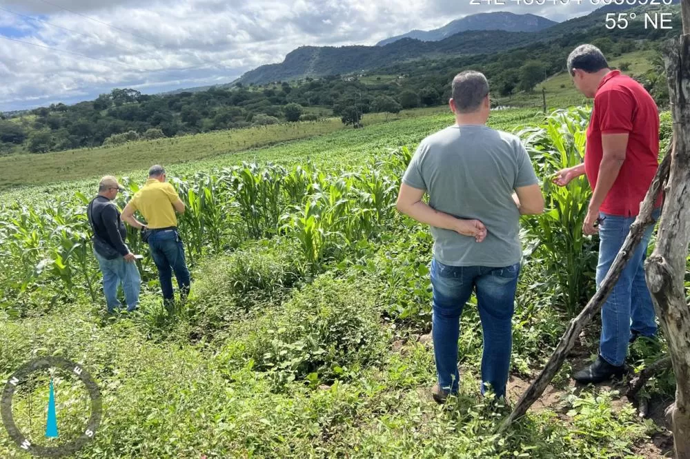 Foto: Divulgação - SEMMAM