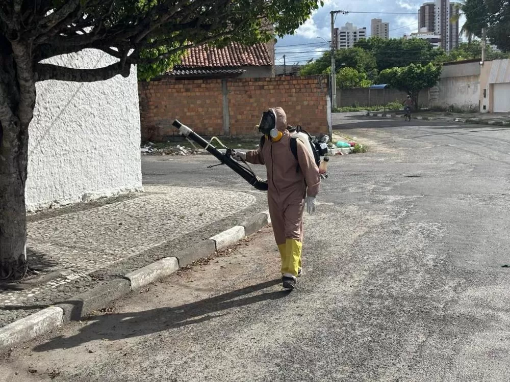 Fotos: Divulgação SMS