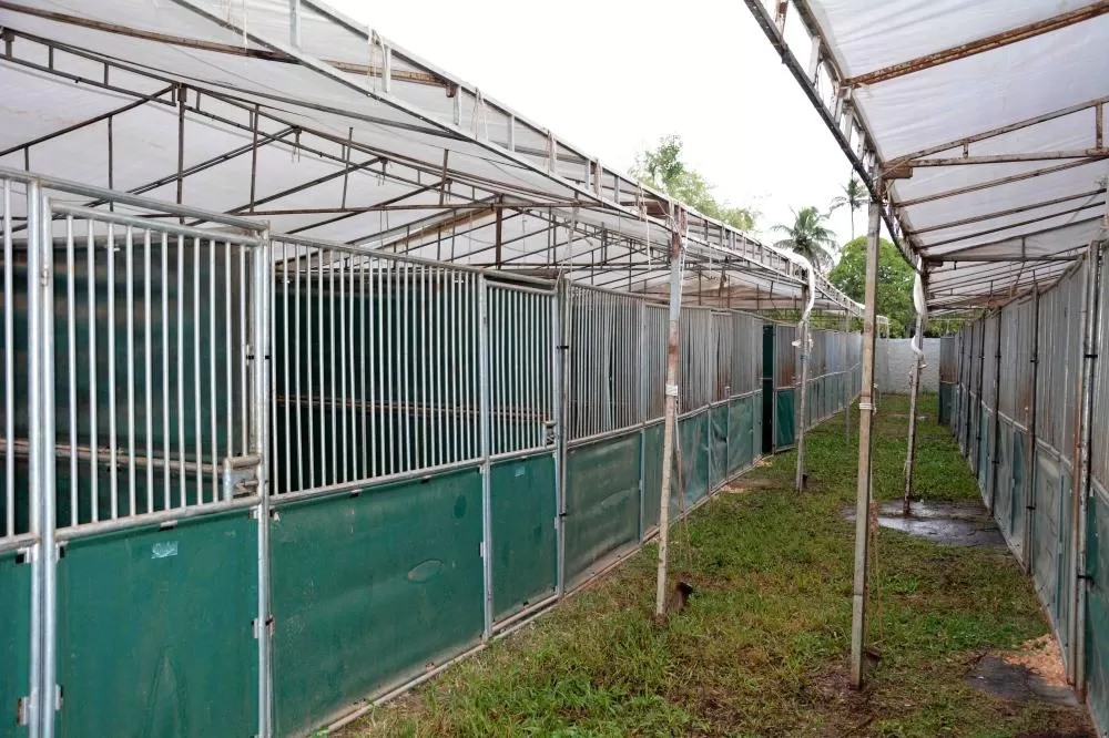 Fotos:Izinaldo Barreto