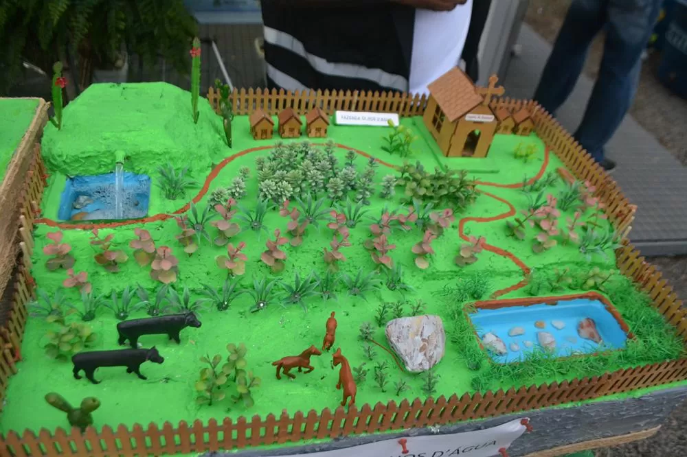 Fotos: Washington Nery