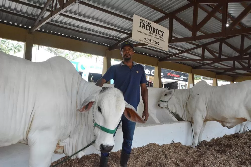 Foto: ACM e Jorge Magalhães