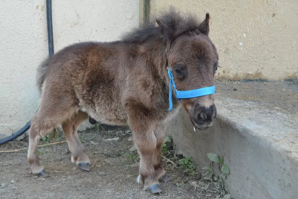 Fotos: Marcelo Magalhães