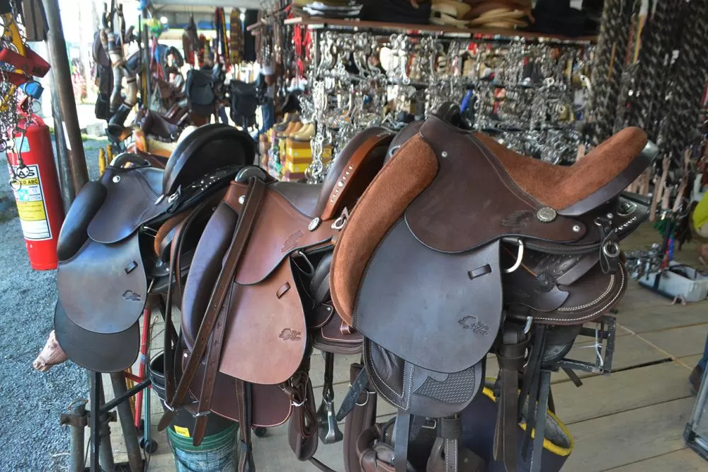  Fotos: Marcelo Magalhães