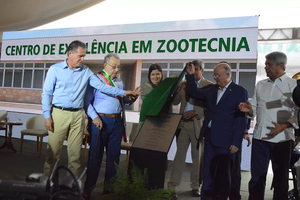 Foto : Jorge Magalhães